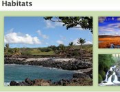 What Are Habitats?