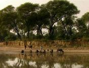 Introduction To India