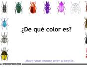 Beetles