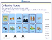 Collective Nouns